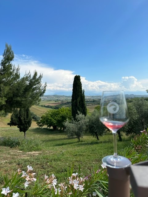 Cerasuolo glass in vineyard