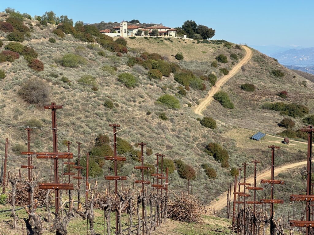 Ojai Mountain Estate winery building in background with vineyards in foreground