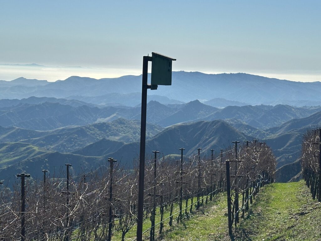 Brid house on pole in vineyard at Ojai Mountain Estate